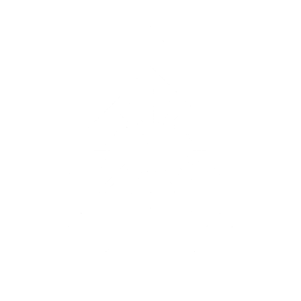 Stealr Logo